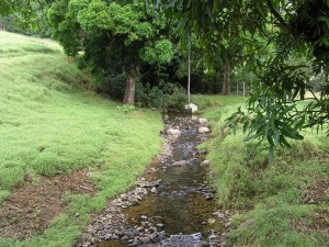 L'un des nombreux cours d'eau de la Vallée