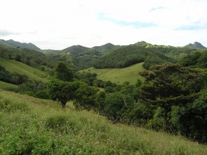 Au coeur de la nature dans la Vallée de Ferney