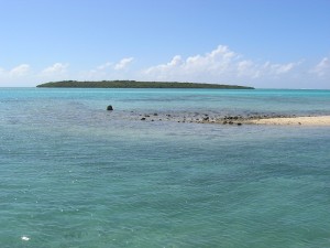 L'île aux Aigrettes fait face à Pointe Jérôme