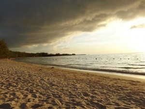 Un aperçu de la plage de Mont Choisy et ses filaos