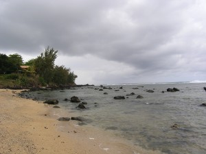 L'ambiance particulière du Sud de l'île.